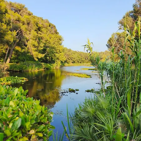 Apartment Six Fours T3 Vue Exceptionnelle Six-Fours-les-Plages